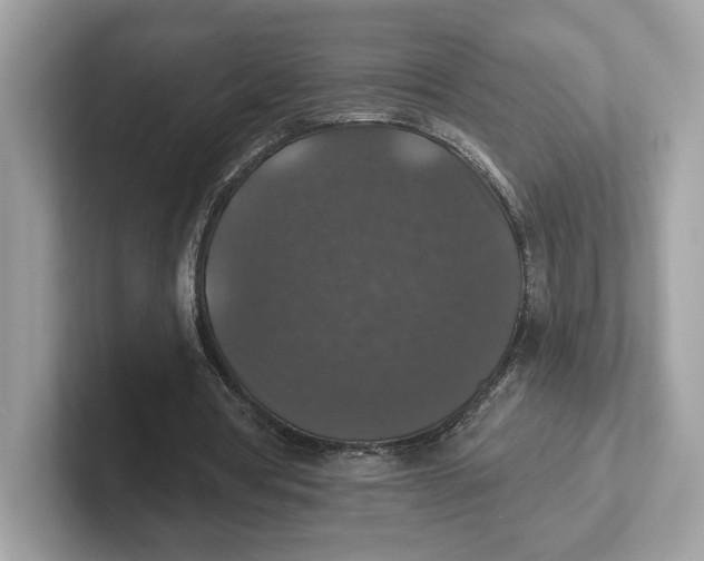 X0000101450386200807280943