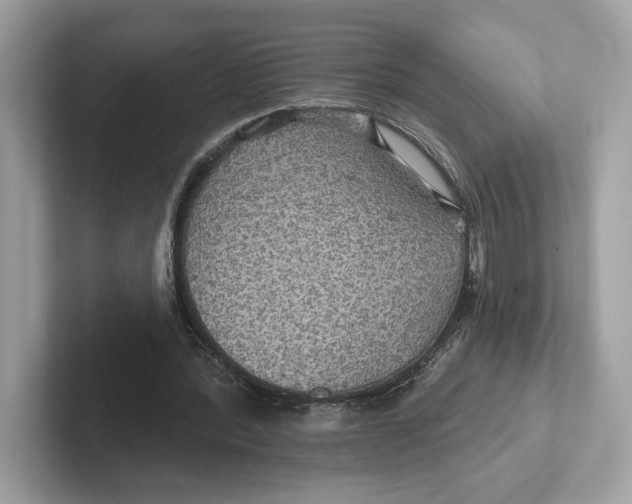 X0000101450388200807280943