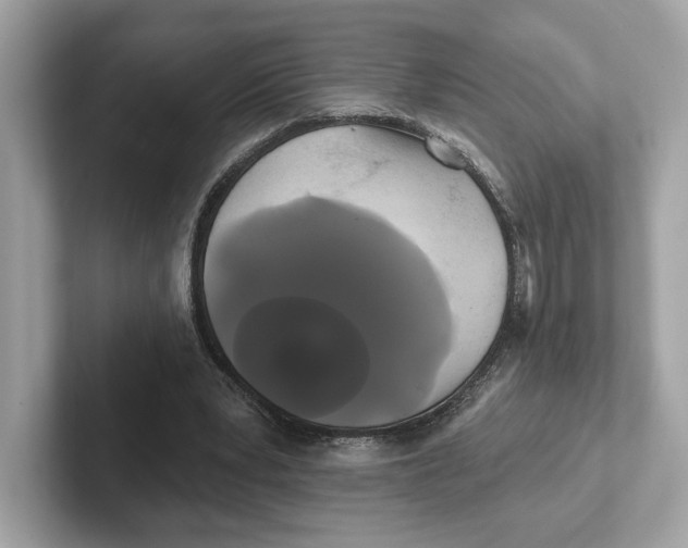 X0000101450391200807280943