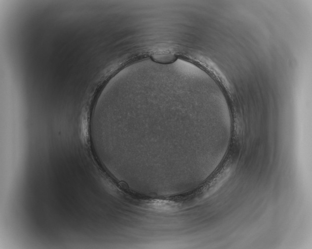 X0000101450393200807280943