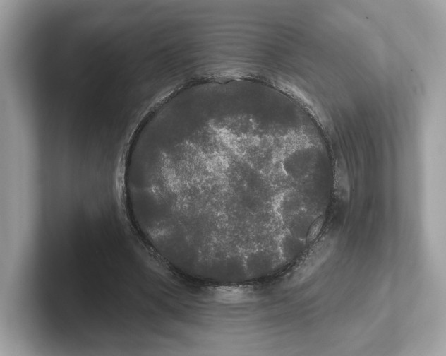 X0000101450394200807280943