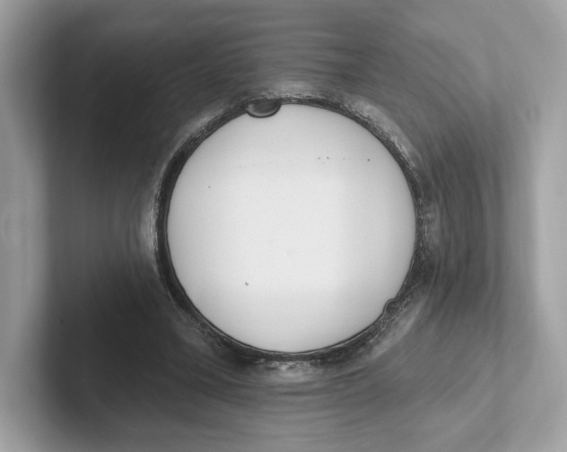 X0000101450395200807280943