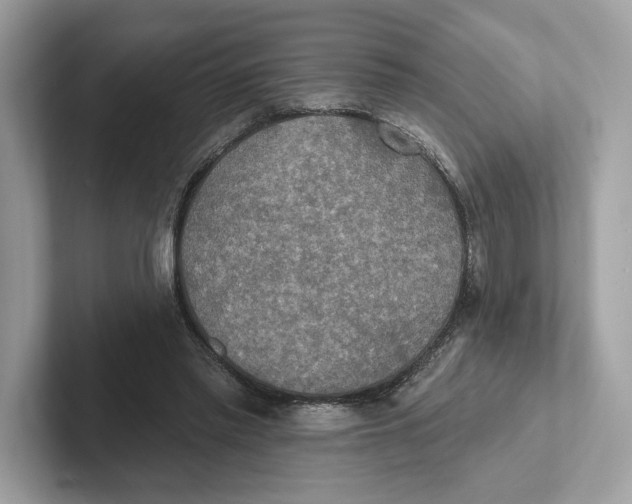 X0000101450397200807280943