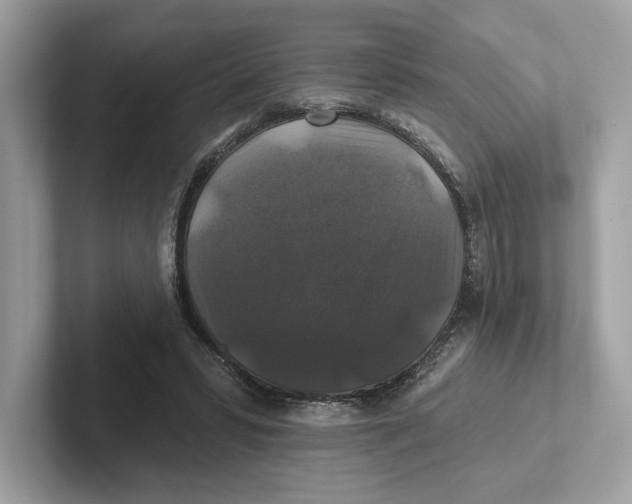 X0000101450399200807280943