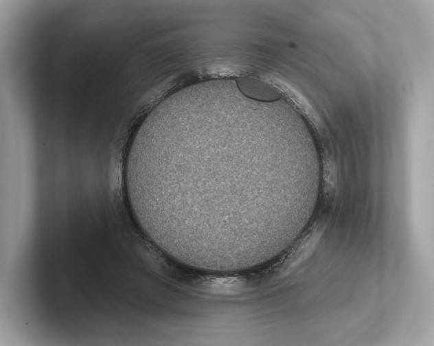 X0000101450401200807280943