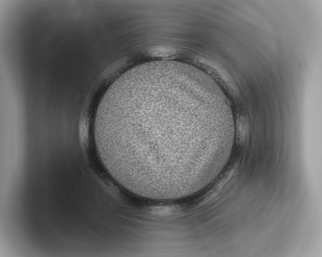 X0000101450404200807280943