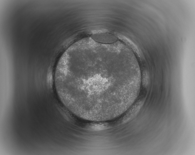 X0000101450405200807280943