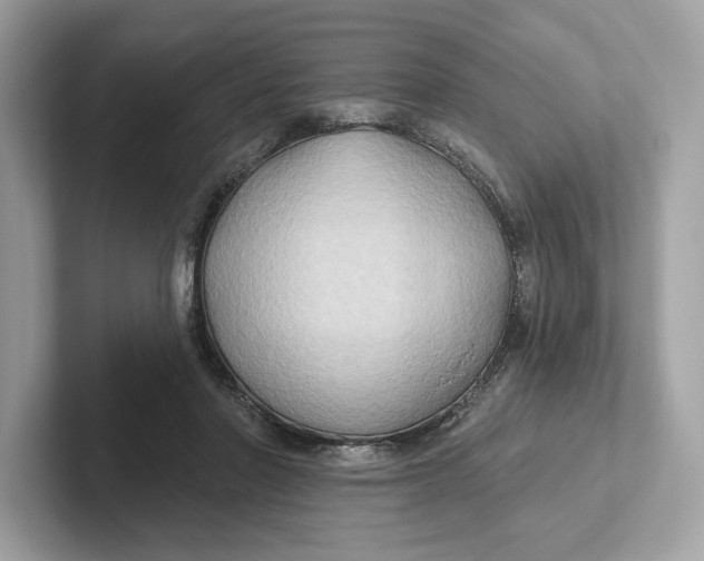 X0000101450406200807280943