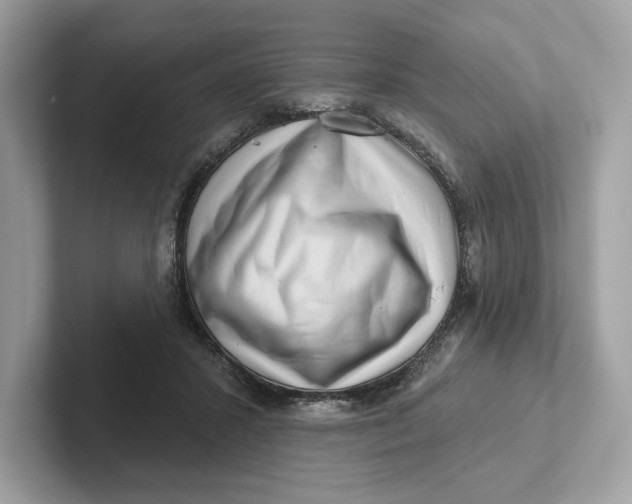 X0000101450407200807280943