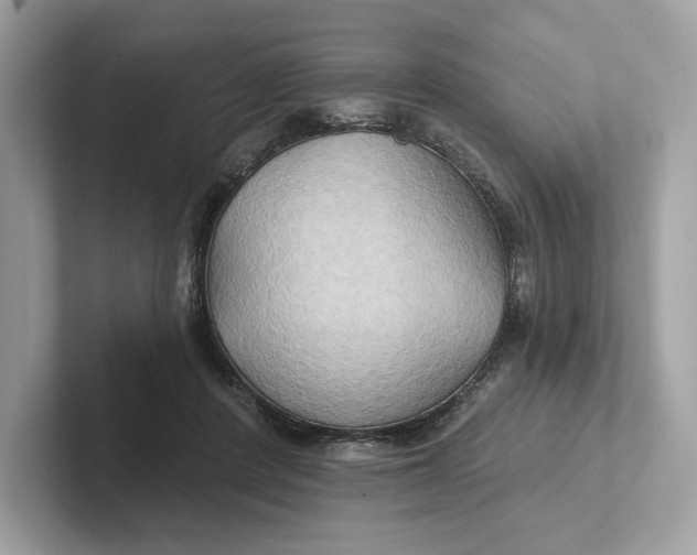 X0000101450408200807280943