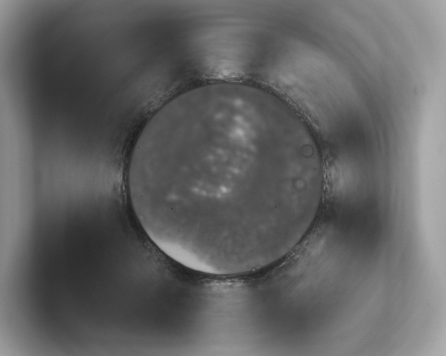 X0000101450415200807280943