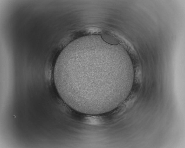 X0000101450417200807280943