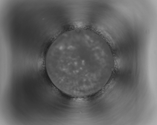 X0000101450419200807280943