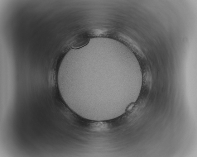 X0000101450421200807280943