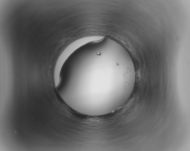 X0000101450423200807280943