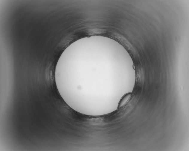 X0000101450426200807280943