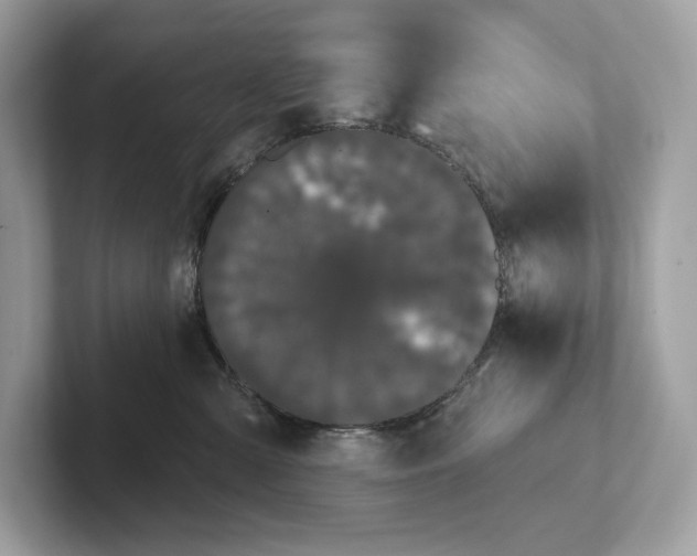 X0000101450427200807280943