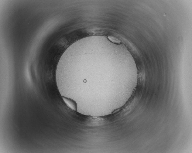 X0000101450429200807280943