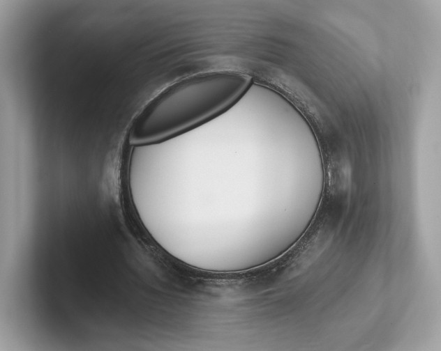 X0000101450436200807280942