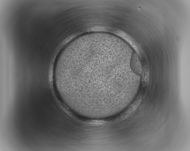 X0000101450437200807280942