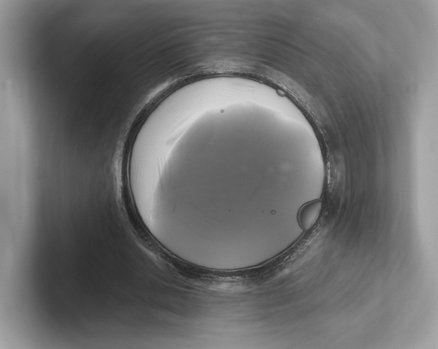 X0000101450438200807280942