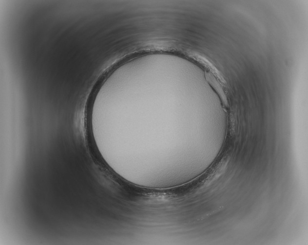 X0000101450439200807280942