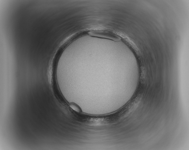 X0000101450440200807280942