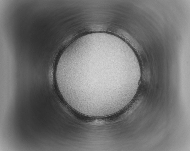 X0000101450441200807280942