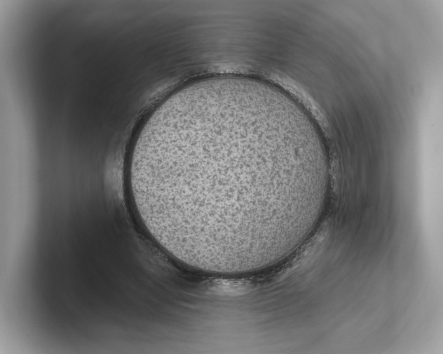 X0000101450442200807280942