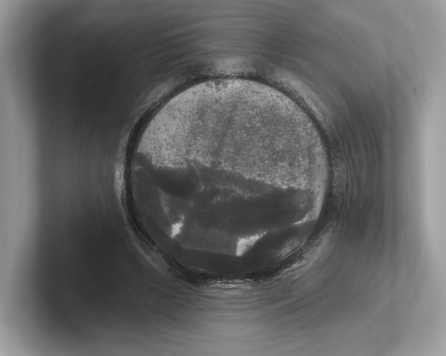 X0000101450443200807280942