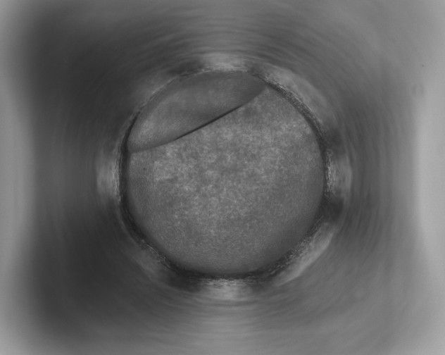 X0000101450444200807280942