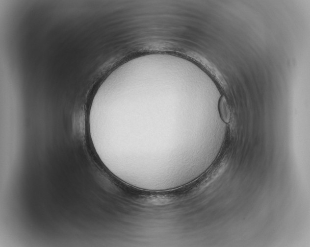 X0000101450445200807280942