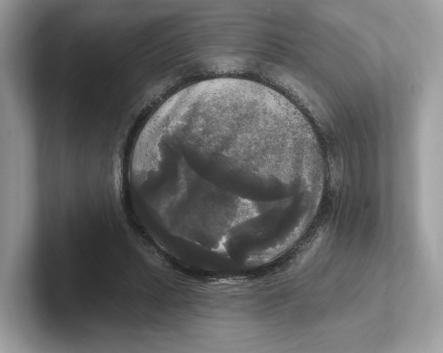 X0000101450447200807280942