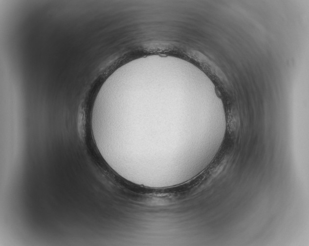 X0000101450448200807280942