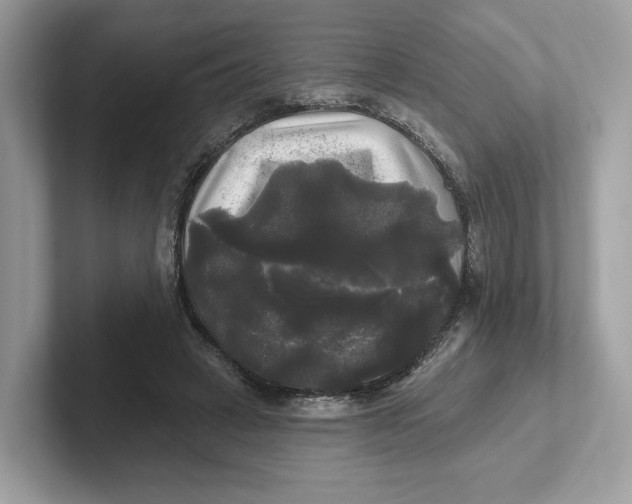 X0000101450449200807280942