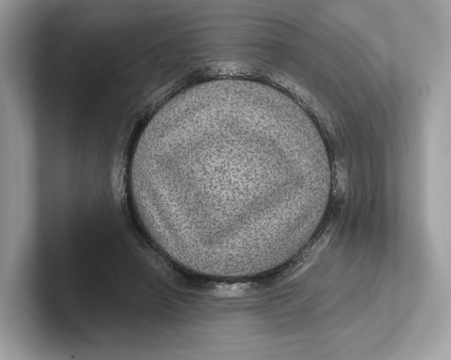 X0000101450450200807280942