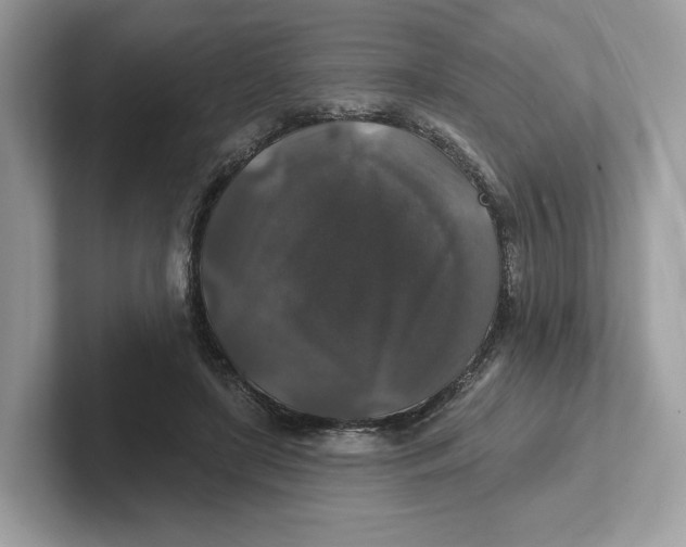 X0000101450451200807280942