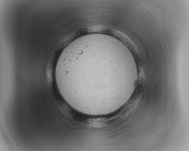 X0000101450452200807280943