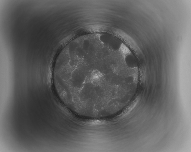 X0000101450453200807280943