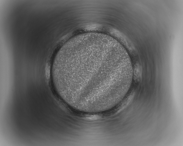 X0000101450454200807280943