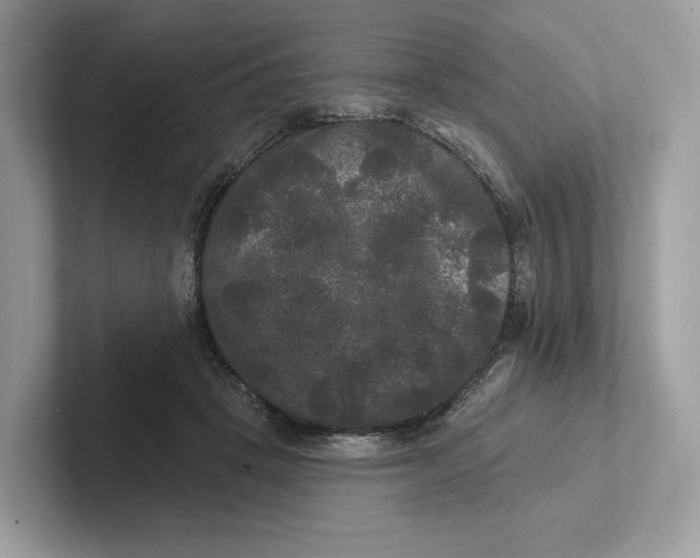 X0000101450457200807280943