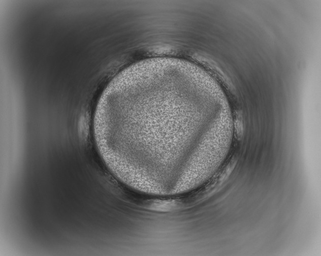 X0000101450458200807280943