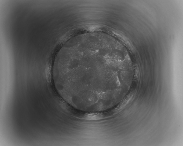 X0000101450461200807280943