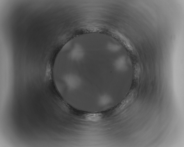 X0000101450465200807280943