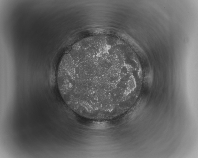 X0000101450469200807280943