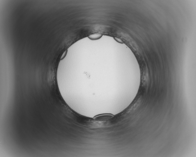 X0000101450473200807280943