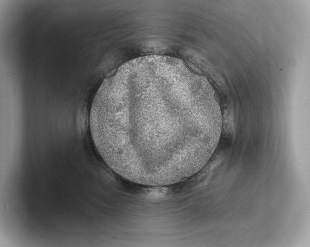 X0000101450474200807280943