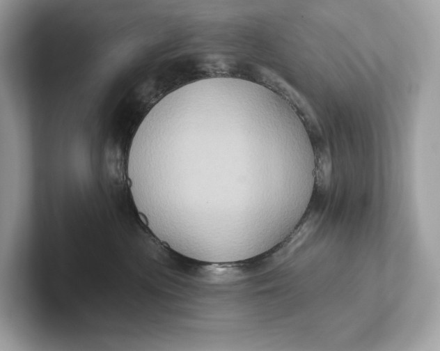 X0000101450477200807280943