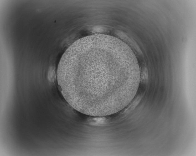 X0000101450478200807280943