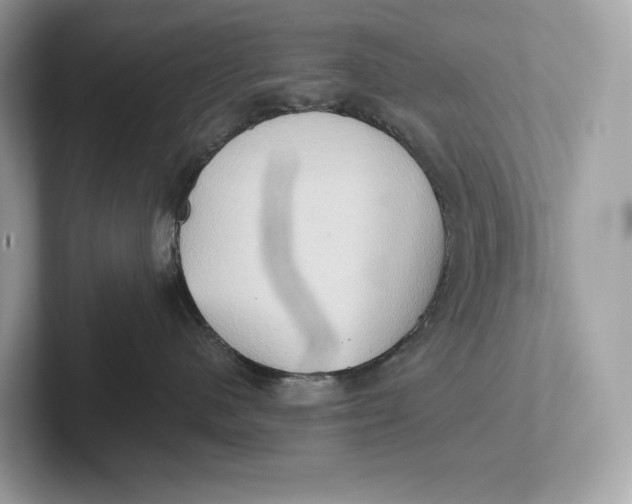 X0000101450480200807280943